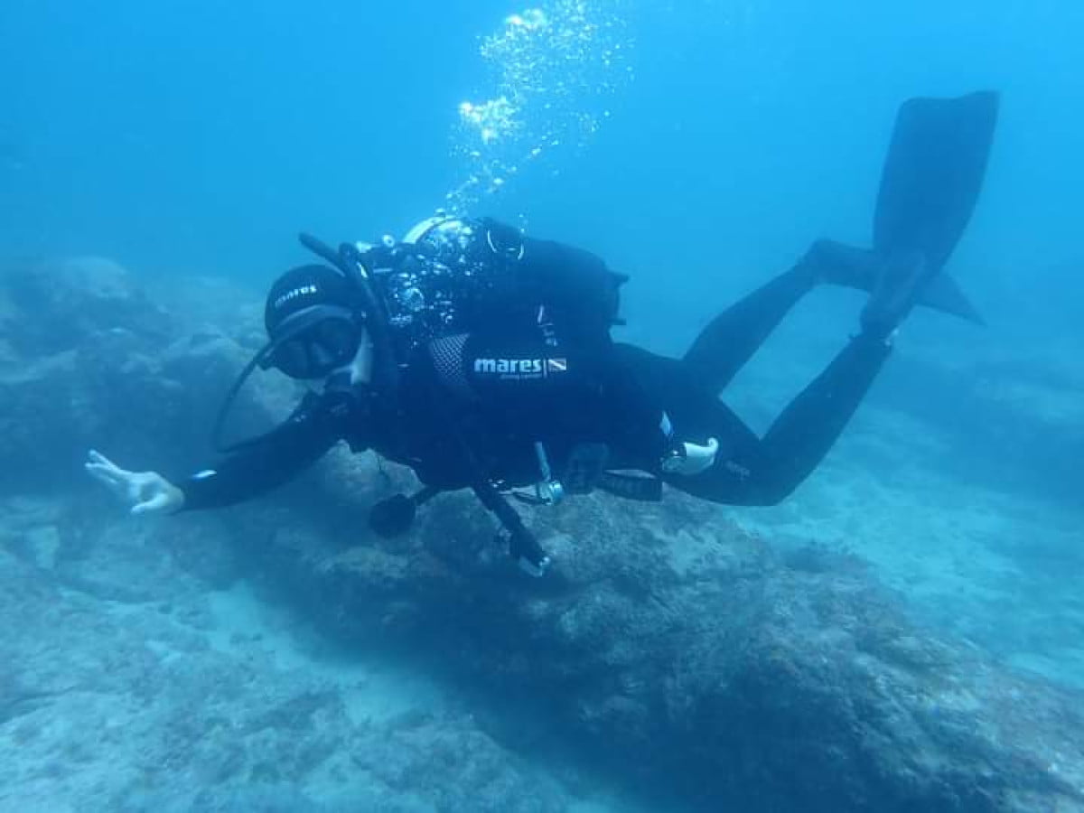 Diver1.jpg