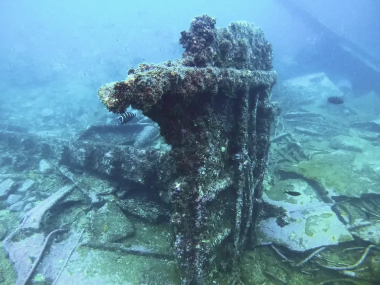 shipwreck in Boa Vista